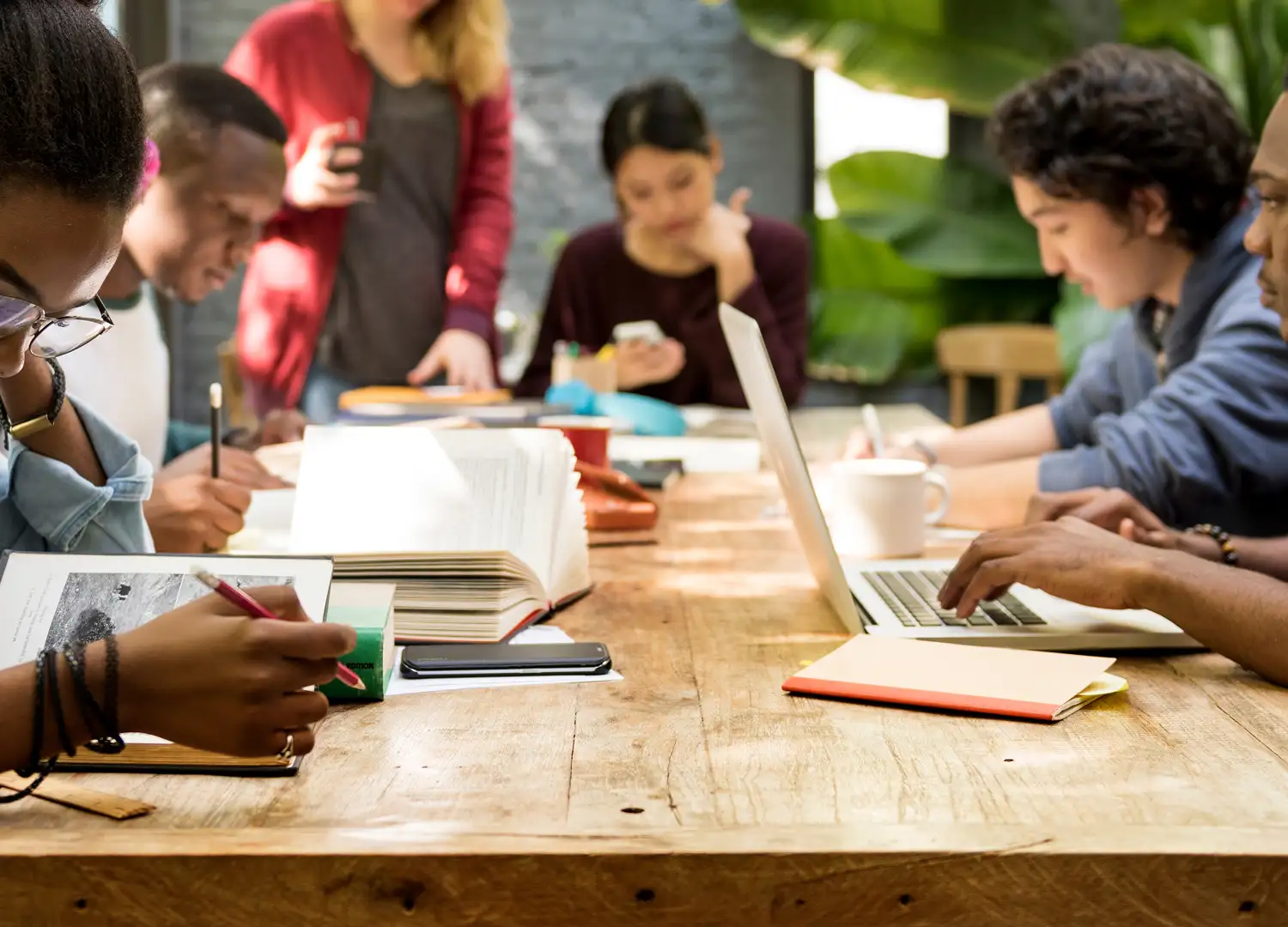 Education & Career Development