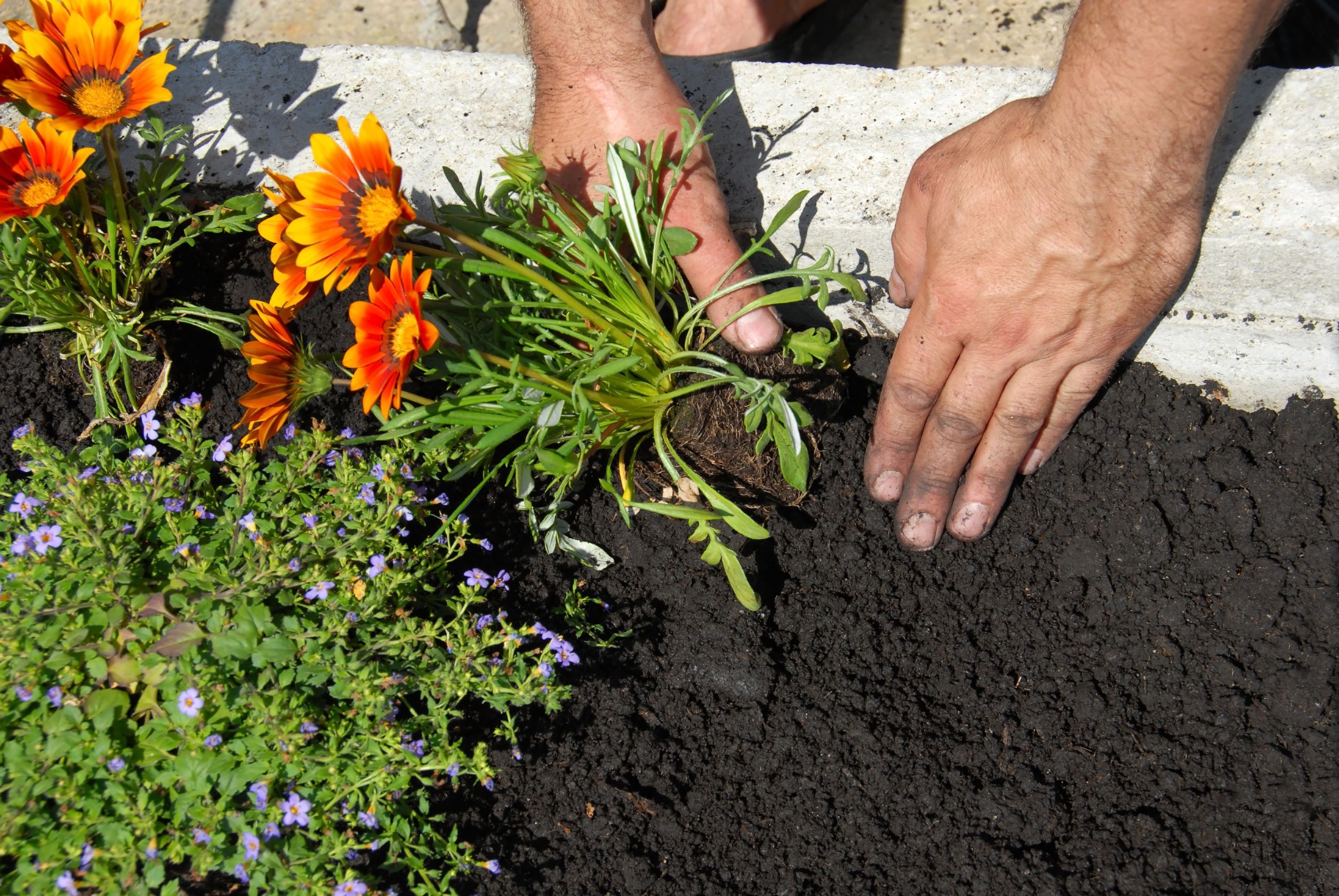 How to Refresh Mulch and Edging Each Spring